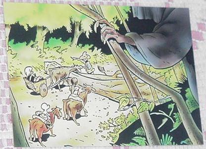 Bone Trading Card Danger in the trees