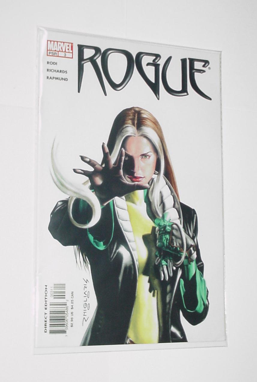 Rogue 3 NM 2004