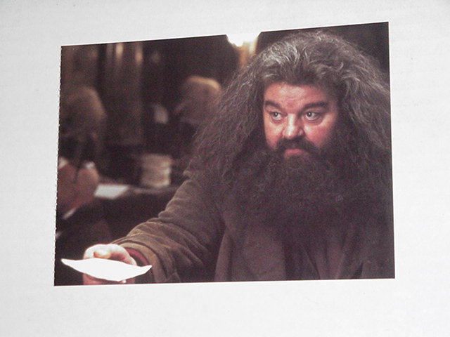 Harry Potter Sorcerer's Stone Postcard Hagrid
