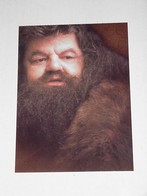 Harry Potter Sorcerer's Stone Postcard Hagrid