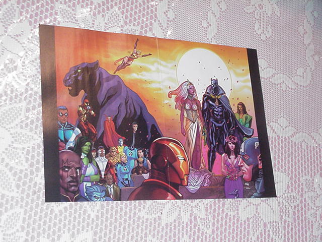 Black Panther Storm Wedding Poster Cho Civil War