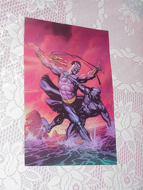 Civil War Poster 13 Panther vs Namor Gary Frank