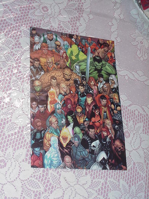 Marvel Universe Poster Jim Cheung Punisher Hulk