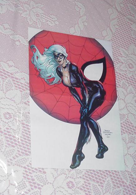 Black Cat Poster # 4 Terry Dodson