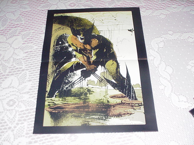 Wolverine Poster by Jae Lee Inhumans