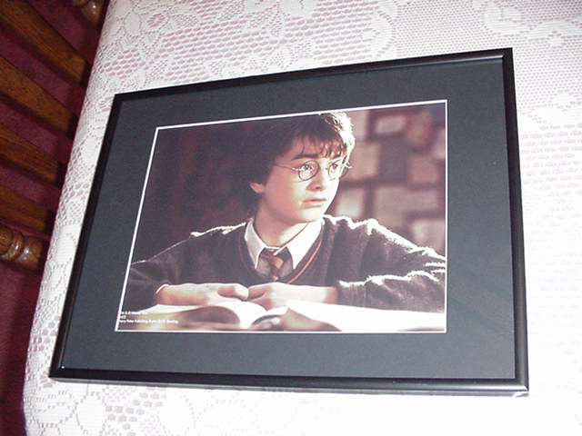 Harry Potter Poster Frame +Mat for my Posters