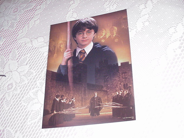 Harry Potter - Quidditch Match Poster 2