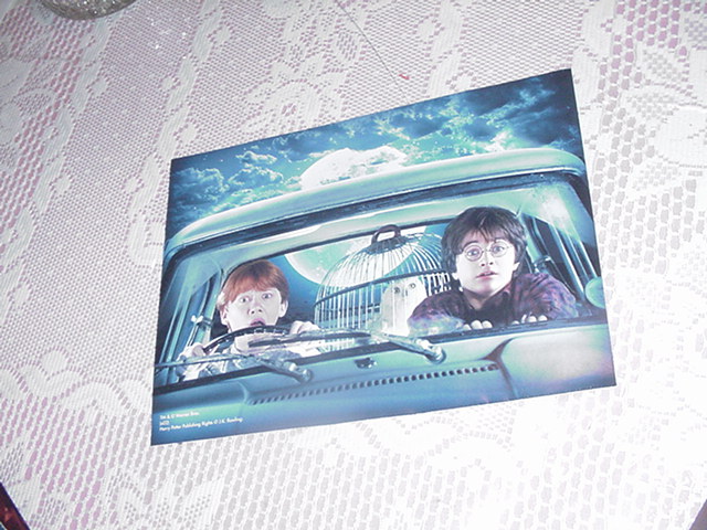 Harry Potter Poster - Harry Ron + Hedwig The Owl