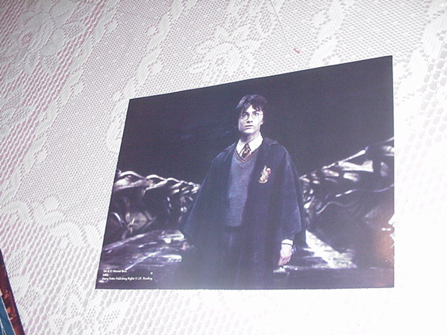 Harry Potter Poster - Alone In The Chamber 2