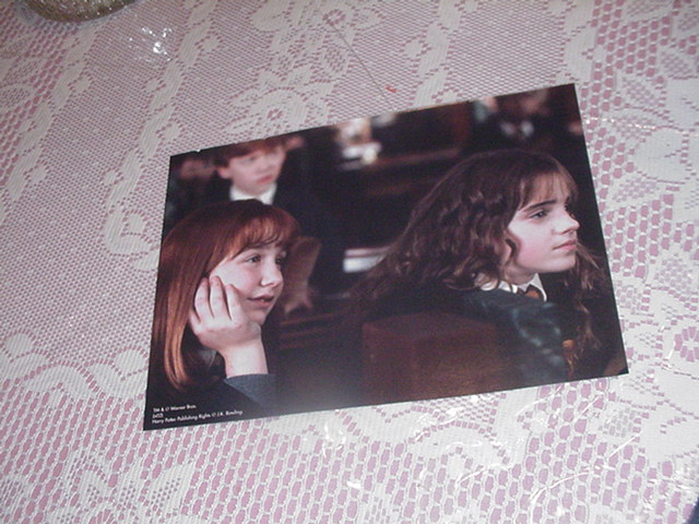 Harry Potter Poster - Hermione In Class 2