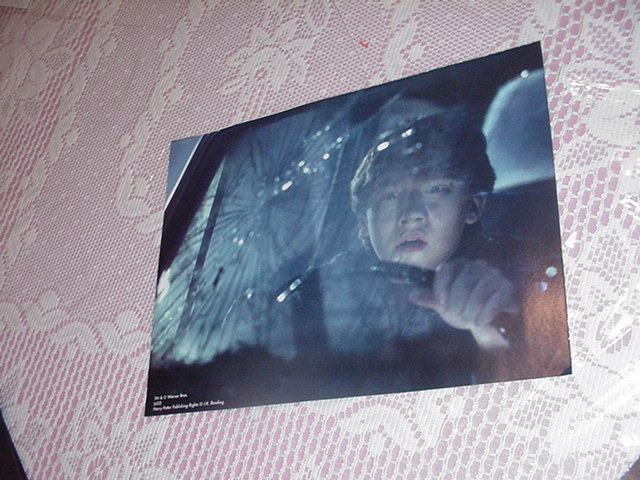 Harry Potter Movie Poster - Ron In Car 3