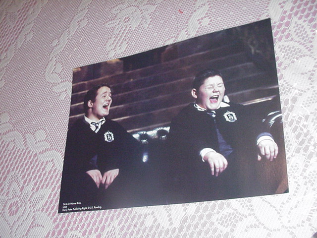 Harry Potter Poster - Crabb and Goyle