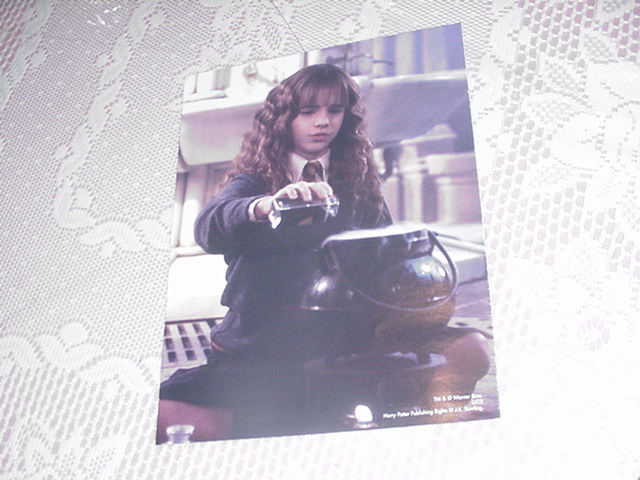 Harry Potter Poster - Hermione Studying 3
