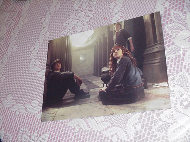 Harry Potter Poster Gryffindors In Bathroom 3