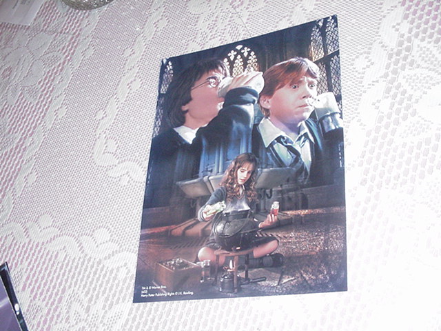 Harry Potter Poster - Hermione's Brew 2