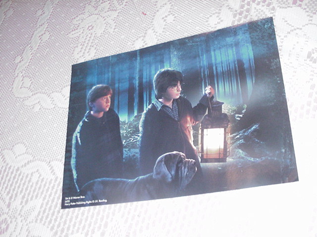 Harry Potter Poster - W/ Ron At Night NEW 3