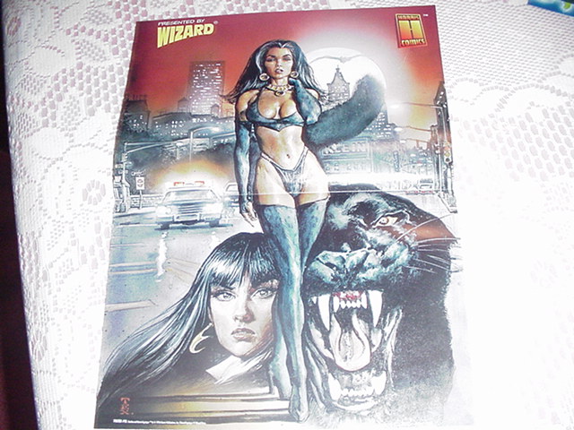 Pantha Poster by Mark Texeira