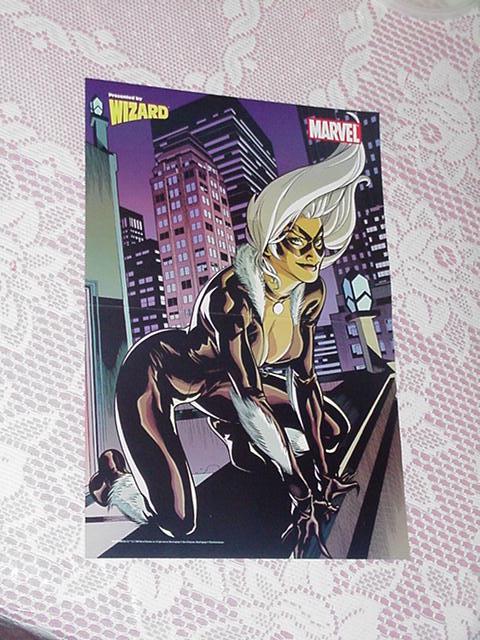 Black Cat Poster # 2 Terry Dodson HOT!!!