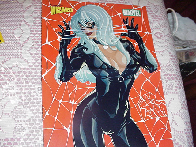Black Cat Poster # 1 Terry Dodson LAST ONE!