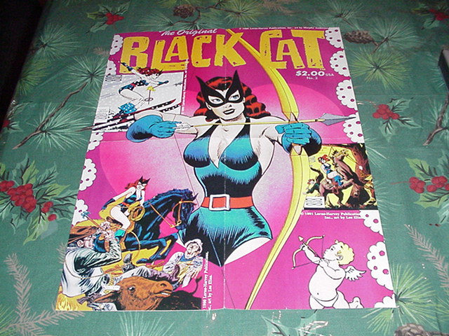 Black Cat Poster
