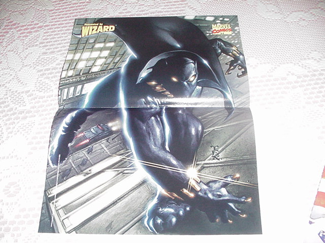 Black Panther Poster by Mark Texeira 99