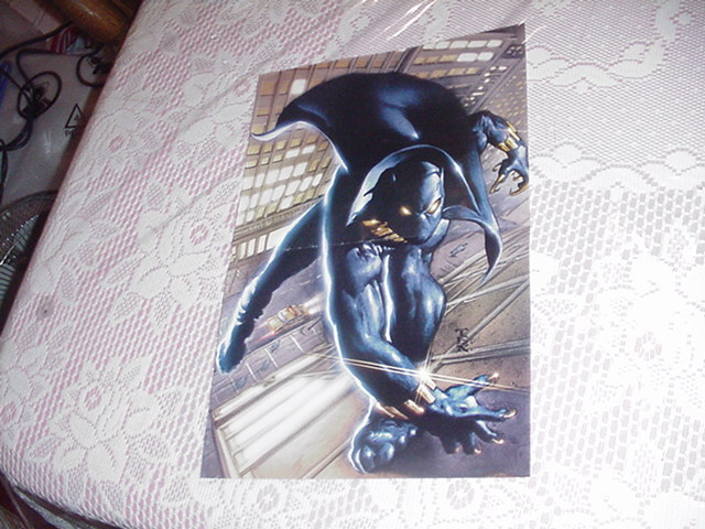 Black Panther Poster Mark Texeira No Logo