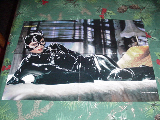 Catwoman Batman Movie Poster