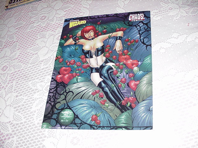 Chastity Poster Molenaar Chaos Comics Smiley