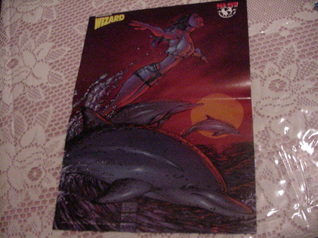 Fathom Poster by Michael Turner W/ Dolphins