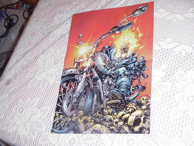 Ghost Rider Poster by Trent Kaniuga Movie 2006