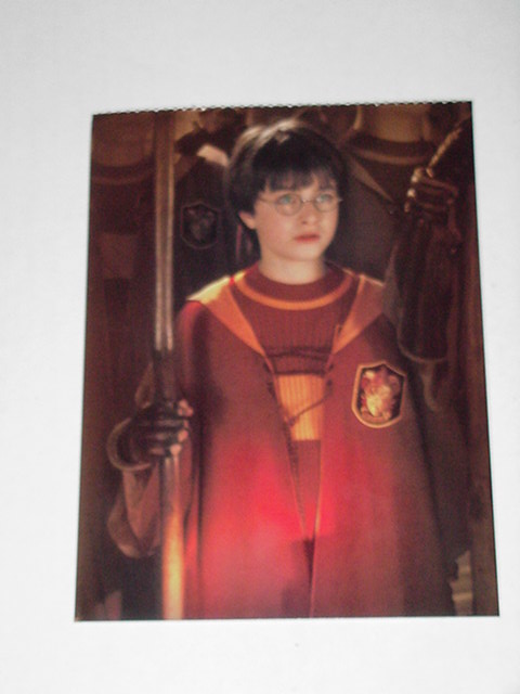 Harry Potter In Quidditch Uniform Poster 3