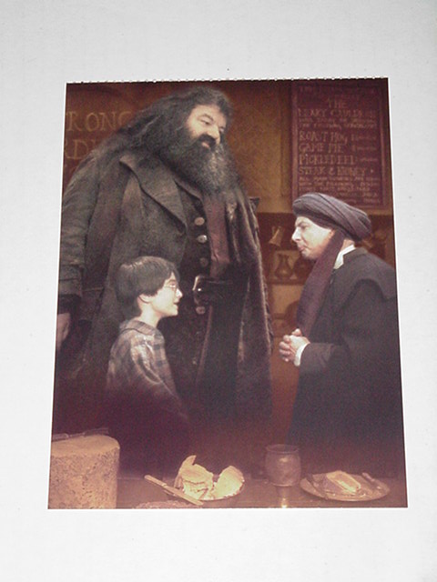Harry Potter & Hagrid Poster NEW