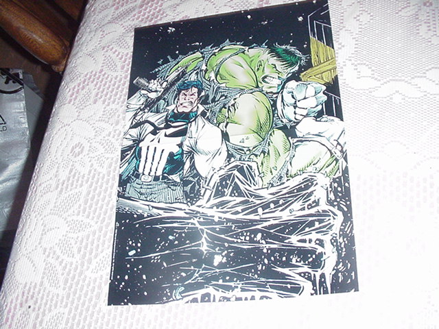 Incredible Hulk Punisher Poster Dale Keown