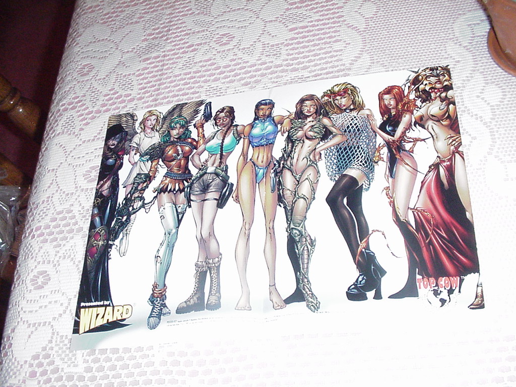 Ladies of Top Cow Poster Tomb Raider Witchblade