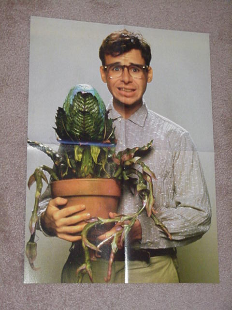 Little Shop of Horrors Movie Poster Seymour Audrey