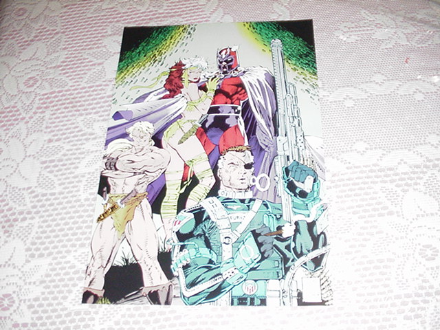 Magneto & Rogue Poster by Jim Lee Nick Fury