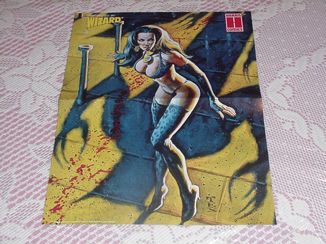 Pantha Poster 2 by Mark Texeira