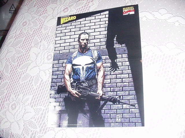 Punisher Poster 2 by Tim Bradstreet
