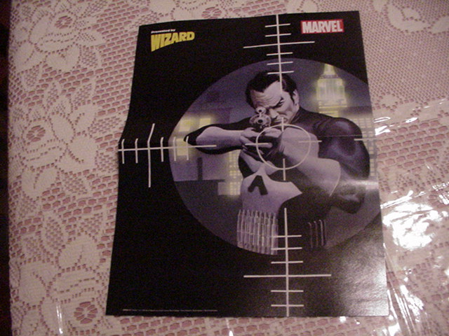 Punisher Classic Poster by Alex Ross MOVIE