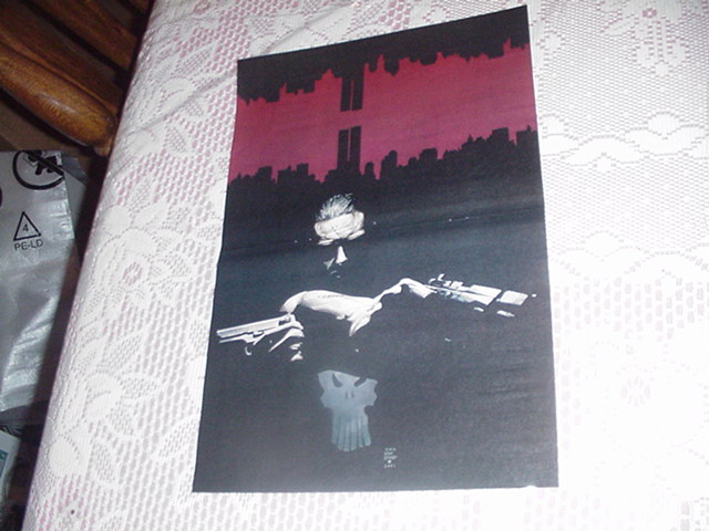 Punisher Poster by Tim Bradstreet L Movie