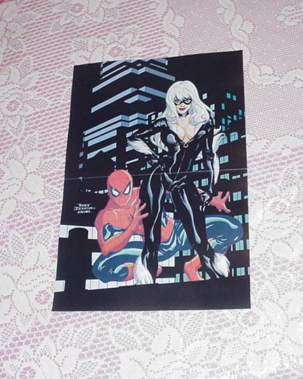 Black Cat Spider-Man Poster 2 Terry Dodson