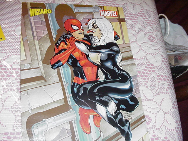 Black Cat Spider-Man Poster Terry Dodson HOT!!!