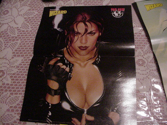 Lara Croft Poster Adam Hughes Tomb Raider 3