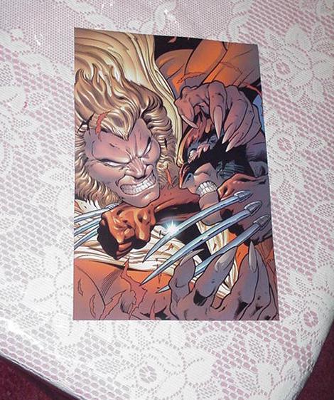 Sabretooth vs Wolverine Poster Alan Davis