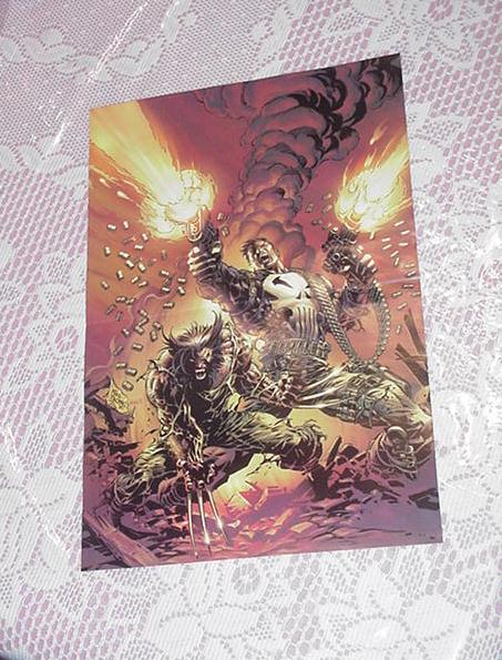 Punisher + Wolverine Poster Mike Deodato Jr