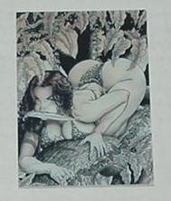 Cavewoman Trading Card w T-Rex + Hunting Double Si