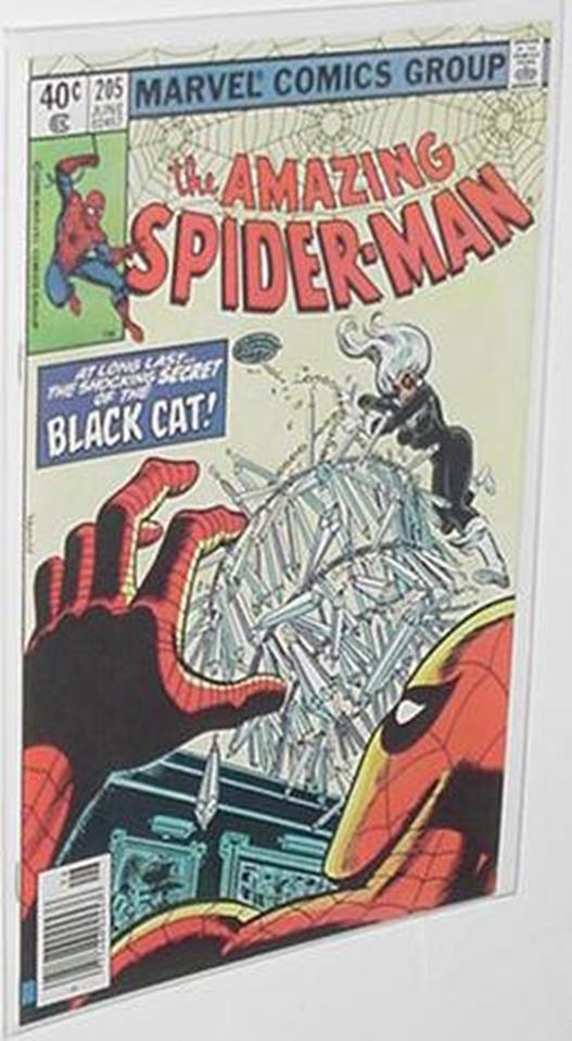 Amazing Spider-Man 205 NM Black Cat Dave Michelini