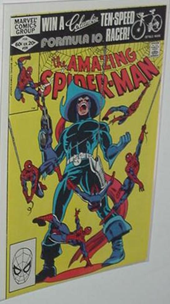 Amazing Spider-Man 225 NM Roger Stern John Romita