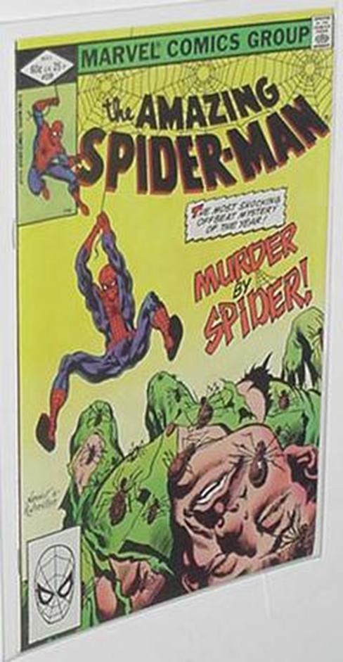 Amazing Spider-Man 228 NM Jan Strnad Rick Leonardi