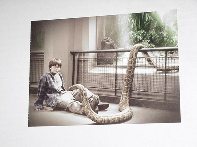 Harry Potter Sorcerer's Stone Postcard Harry Snake